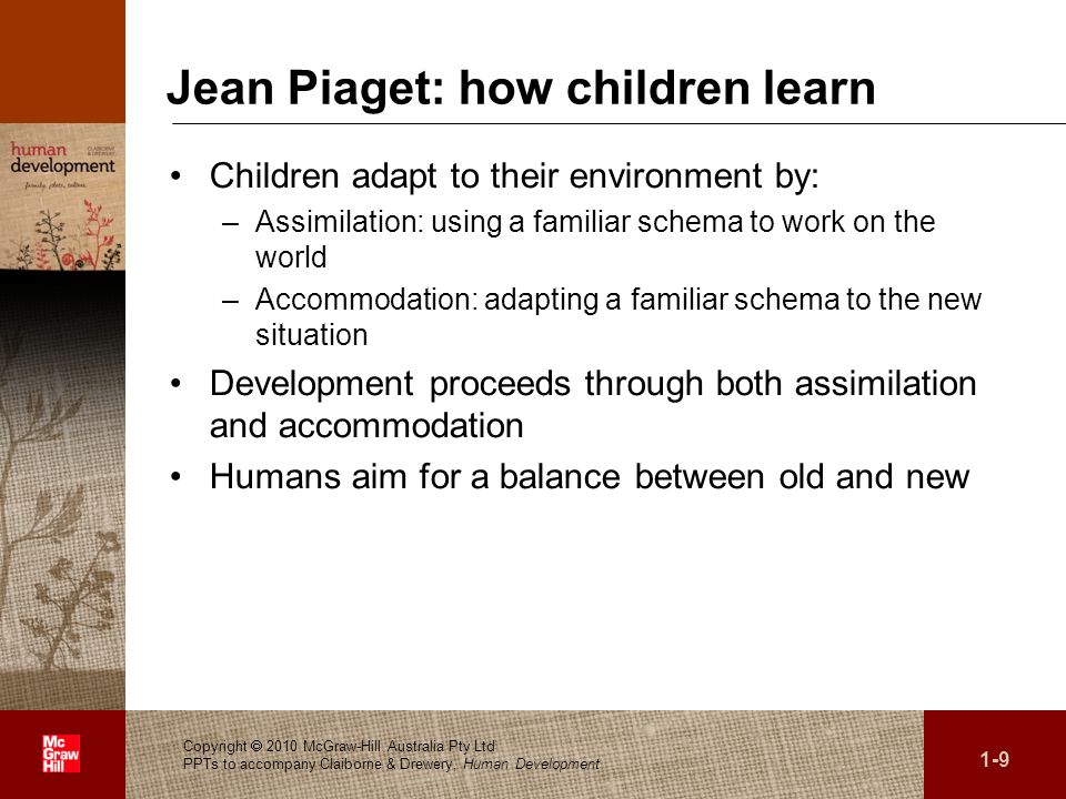 Chapter 1 What IS human development ppt download